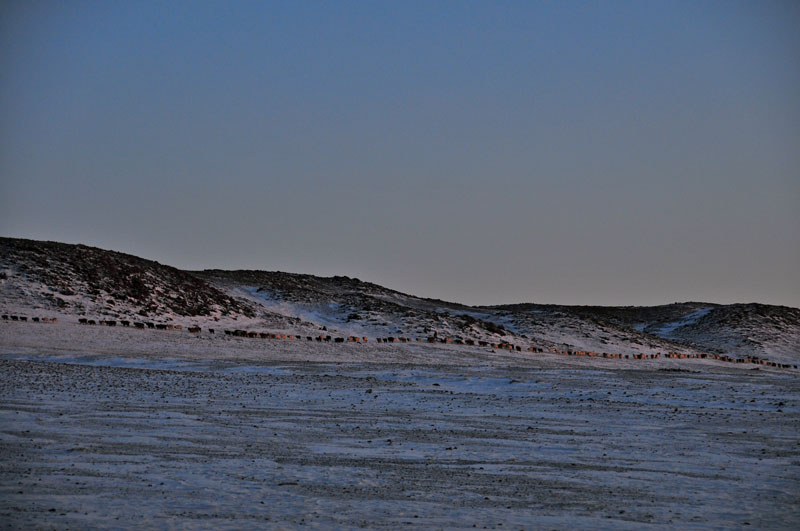Mongolie